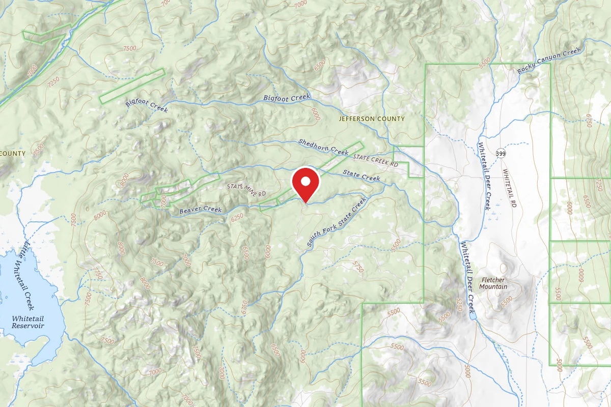 Beaverhead-Deerlodge Dispersed Campsite 100200050301-042