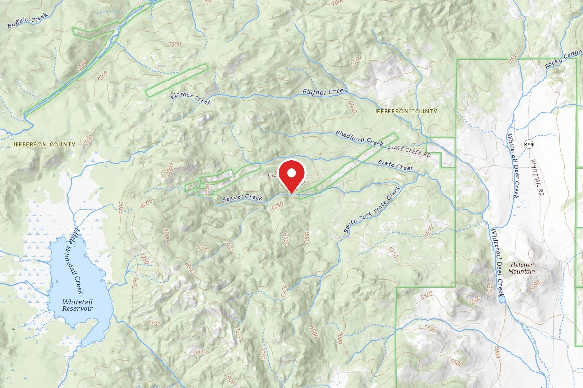 Beaverhead-Deerlodge Dispersed Campsite 100200050301-043