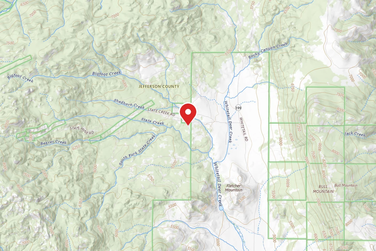 Beaverhead-Deerlodge Dispersed Campsite 100200050301-044