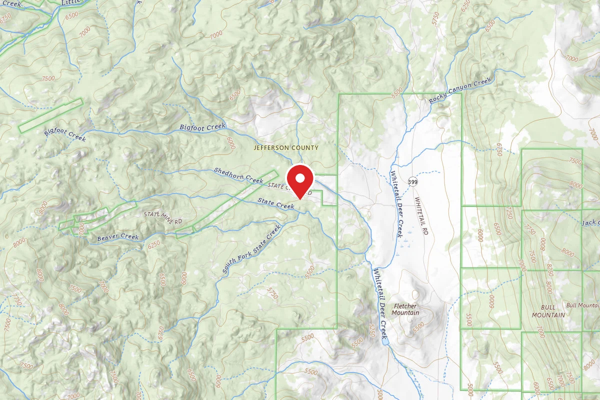 Beaverhead-Deerlodge Dispersed Campsite 100200050301-045A
