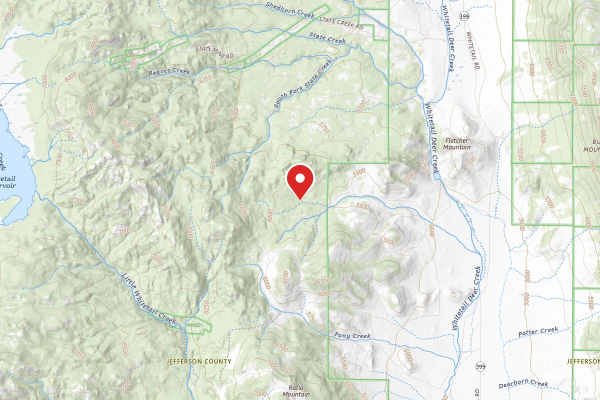 Beaverhead-Deerlodge Dispersed Campsite 100200050302-036