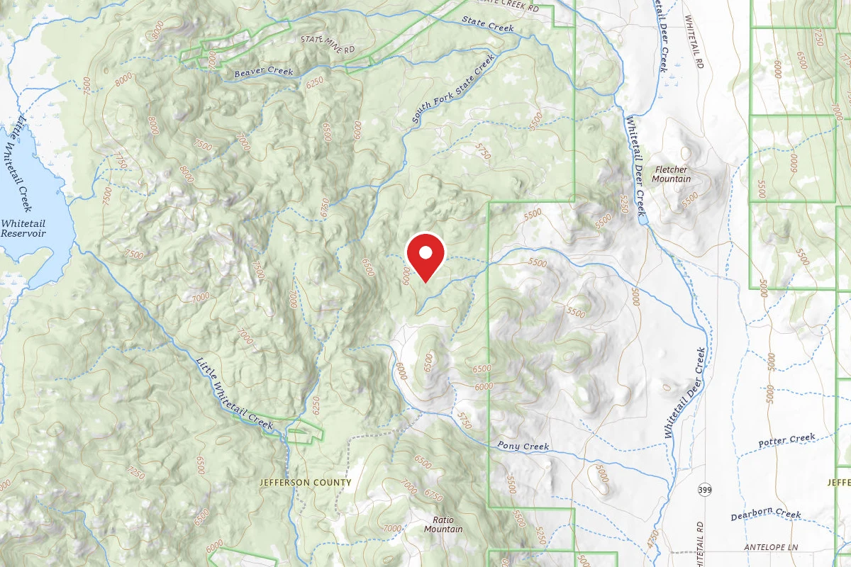 Beaverhead-Deerlodge Dispersed Campsite 100200050302-039