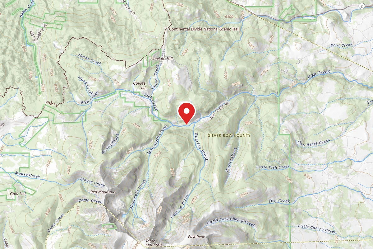 Beaverhead-Deerlodge Dispersed Campsite 50501-1