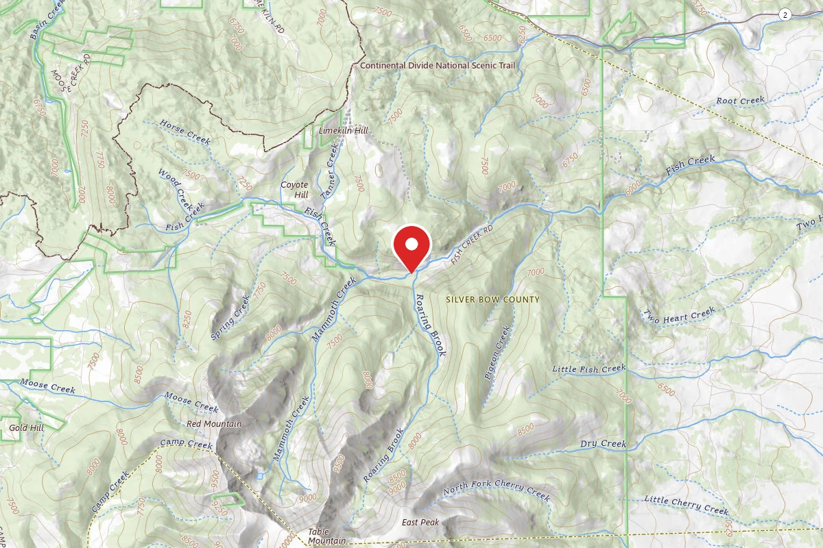 Beaverhead-Deerlodge Dispersed Campsite 50501-2