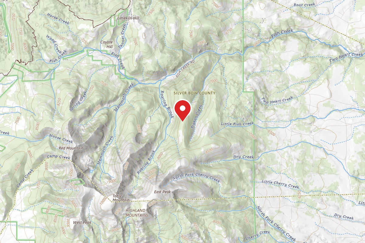 Beaverhead-Deerlodge Dispersed Campsite 50501-4