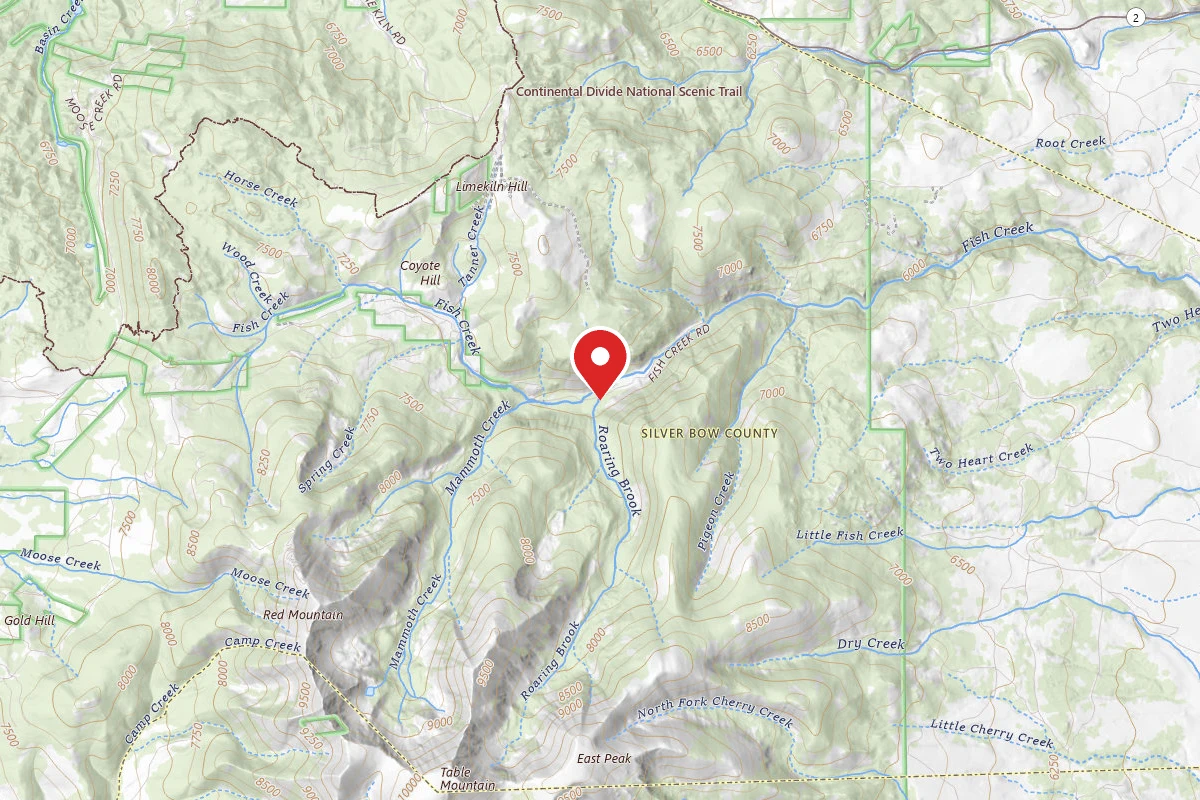 Beaverhead-Deerlodge Dispersed Campsite 50501-5