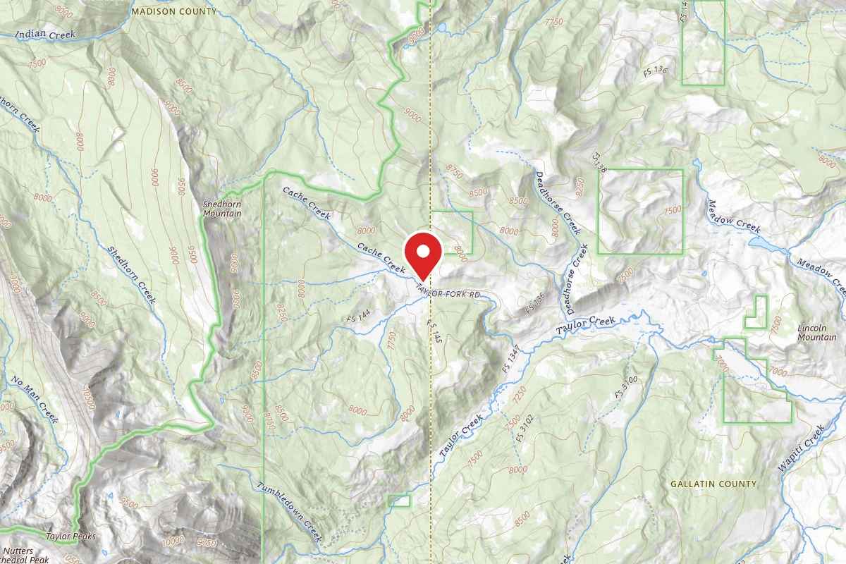 Custer Gallatin Dispersed Campsite CACHE CREEK 5