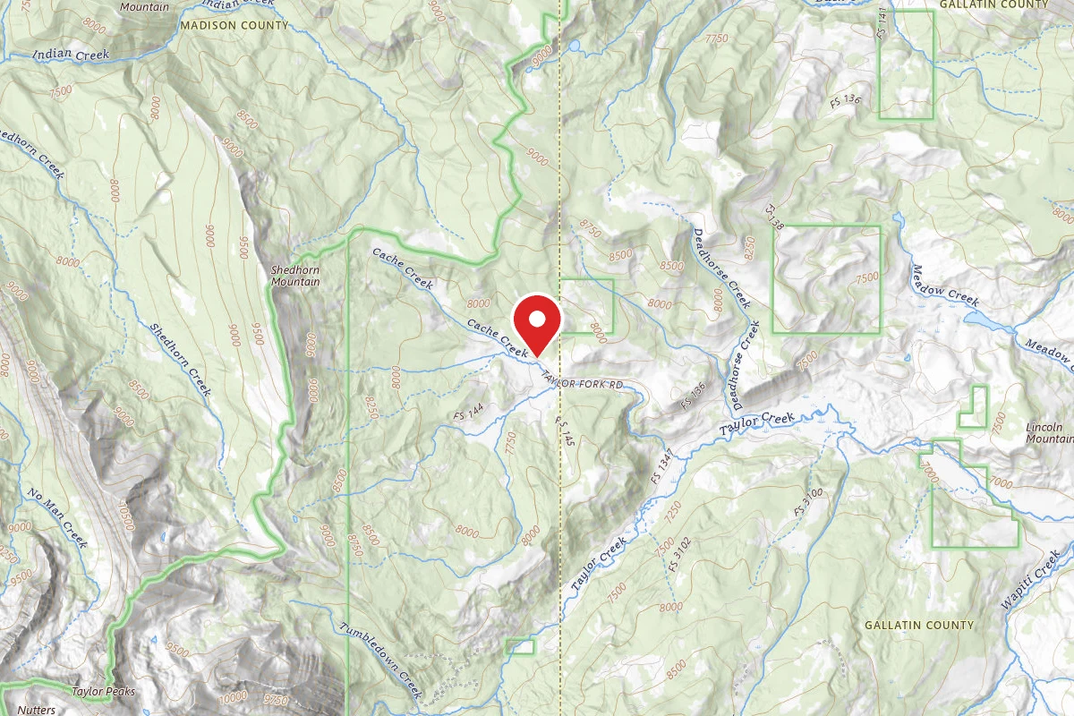 Custer Gallatin Dispersed Campsite CACHE CREEK 2
