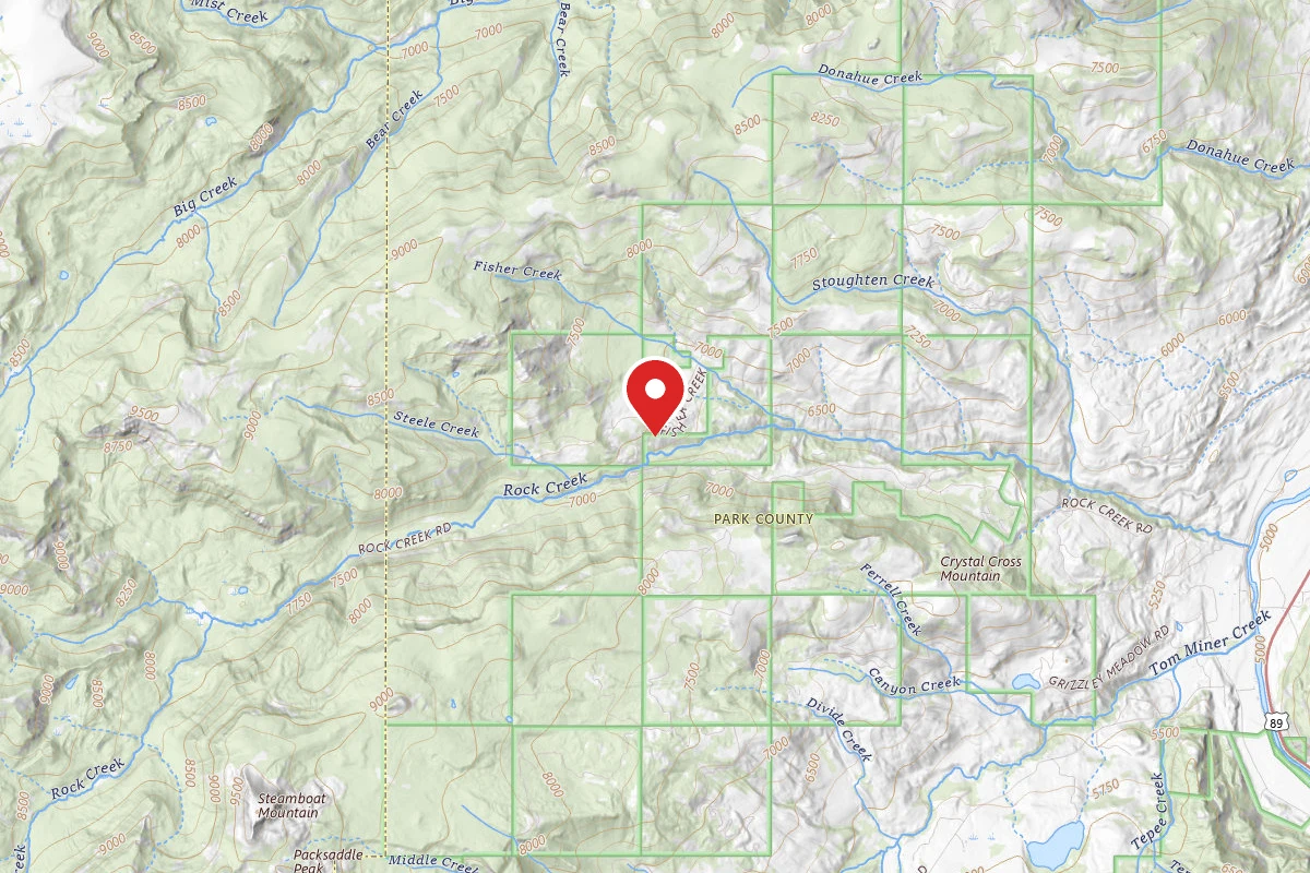 Custer Gallatin Dispersed Campsite DONOHUE-01