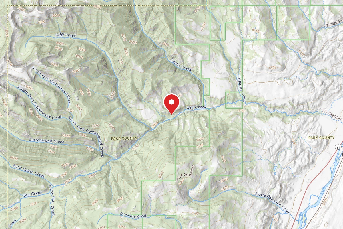 Custer Gallatin Dispersed Campsite BIGCREEK-01
