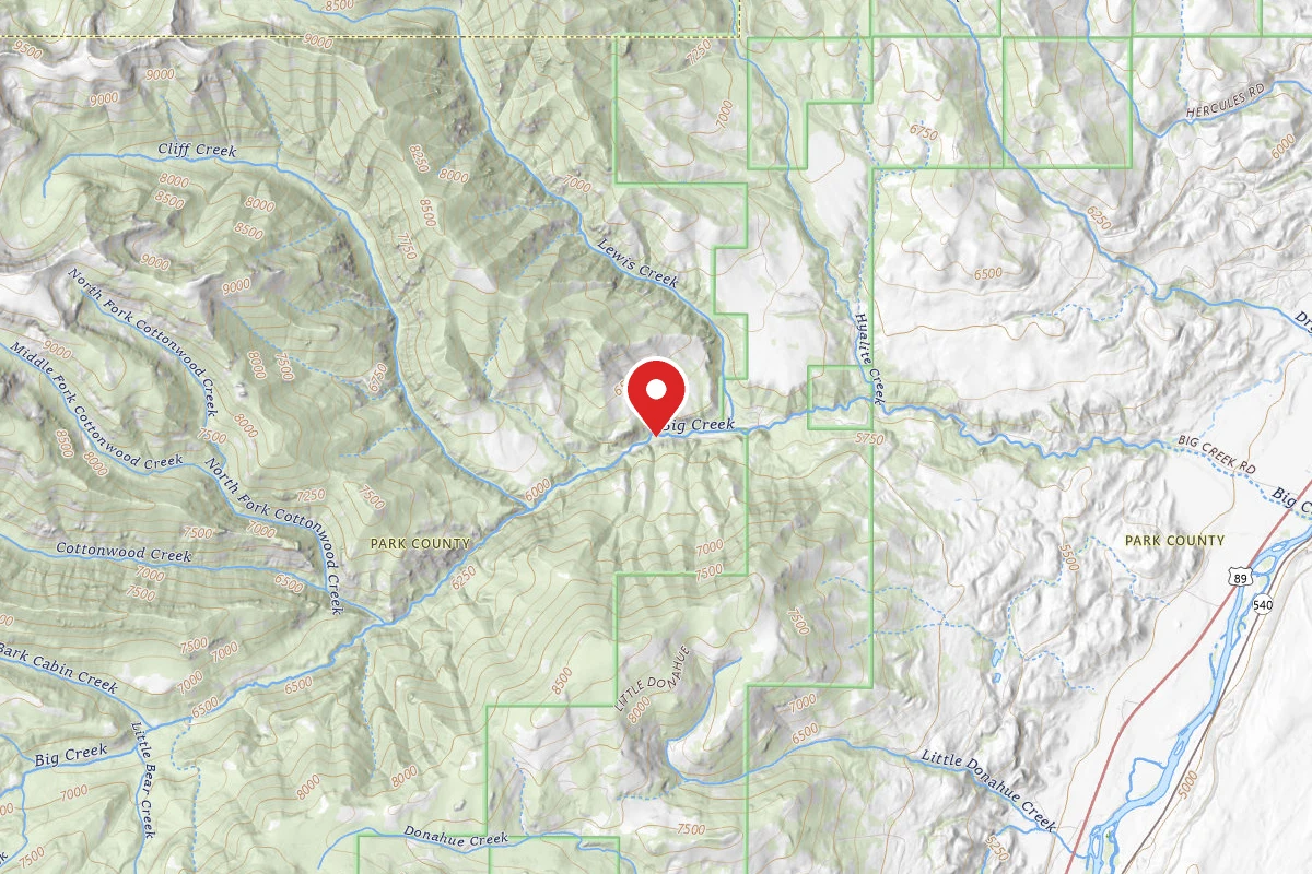 Custer Gallatin Dispersed Campsite BIGCREEK-05