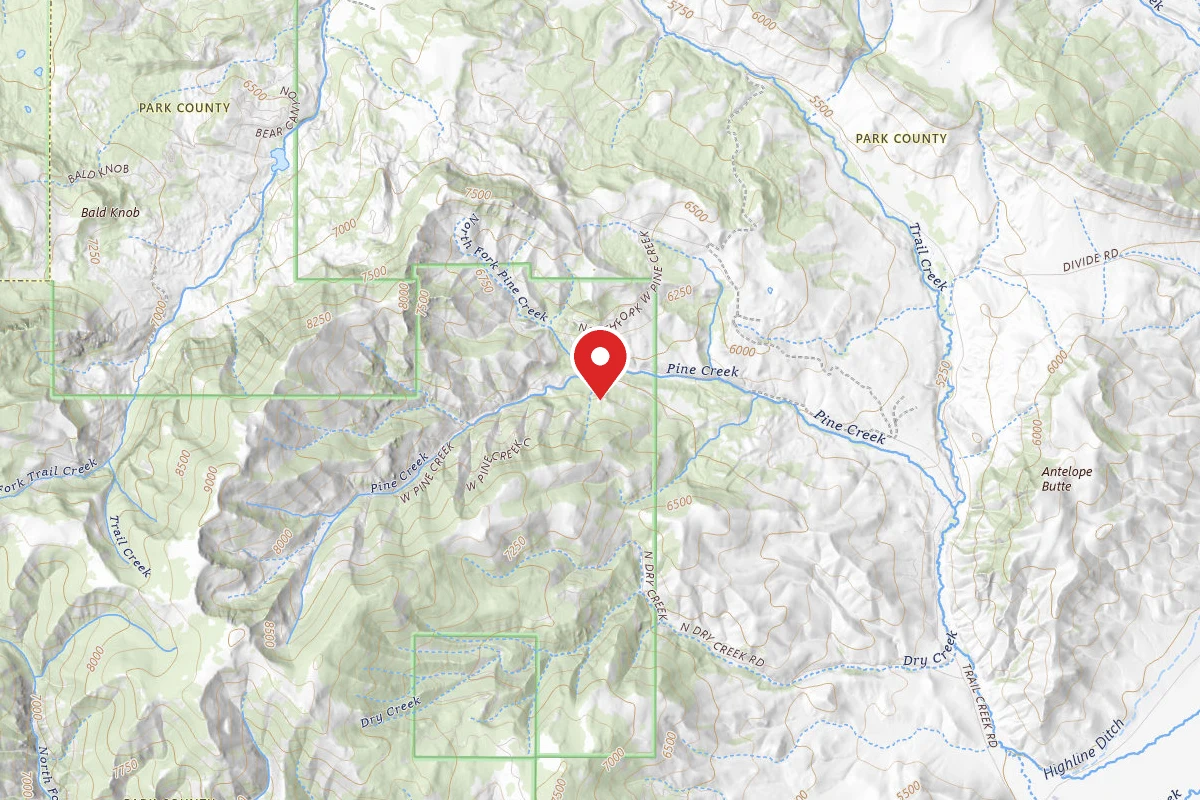 Custer Gallatin Dispersed Campsite WESTPINE-01