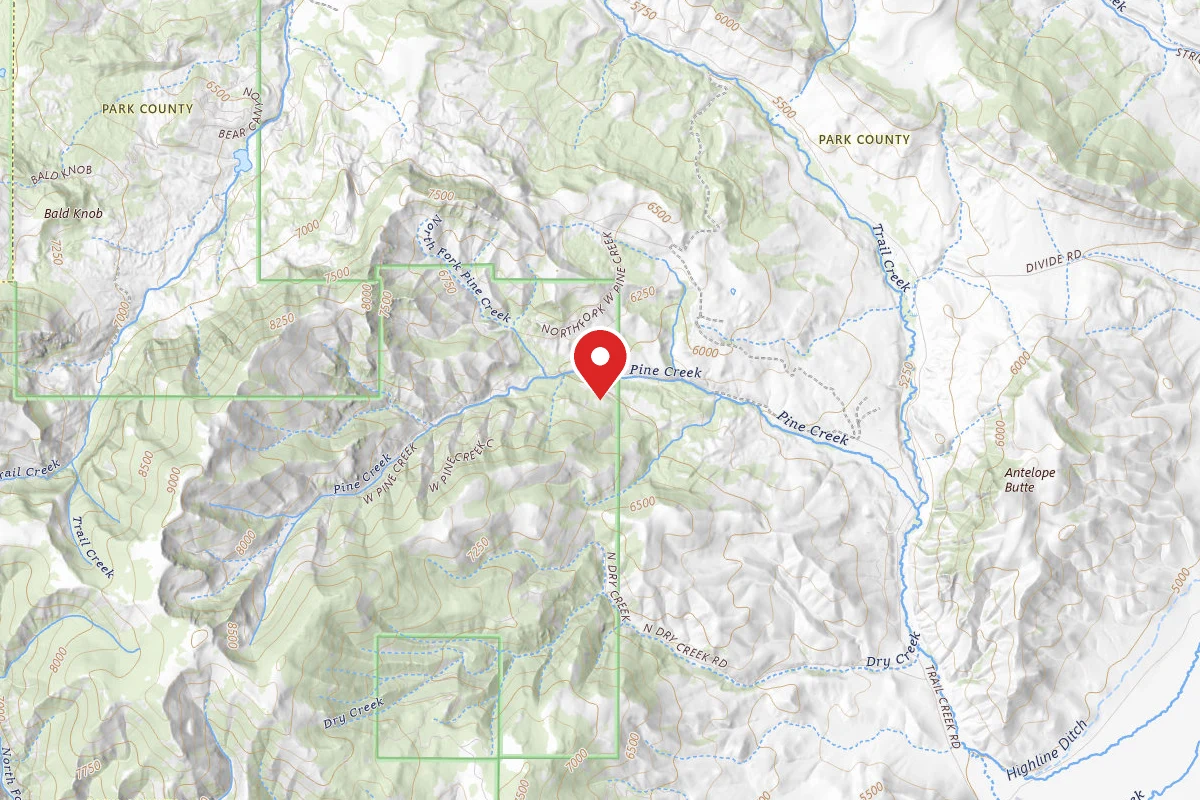 Custer Gallatin Dispersed Campsite WESTPINE-02