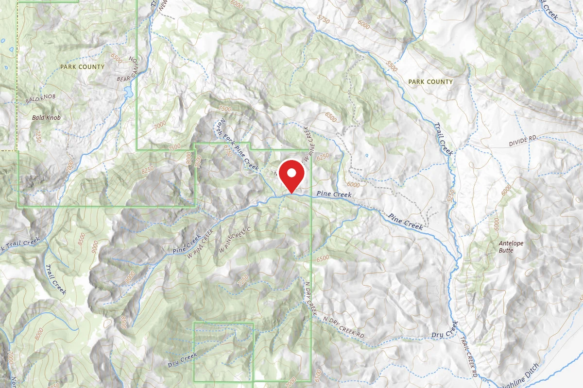 Custer Gallatin Dispersed Campsite WESTPINE-03