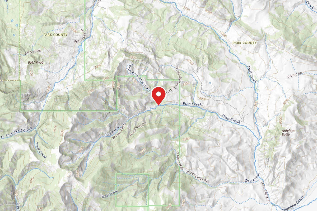 Custer Gallatin Dispersed Campsite WESTPINE-05