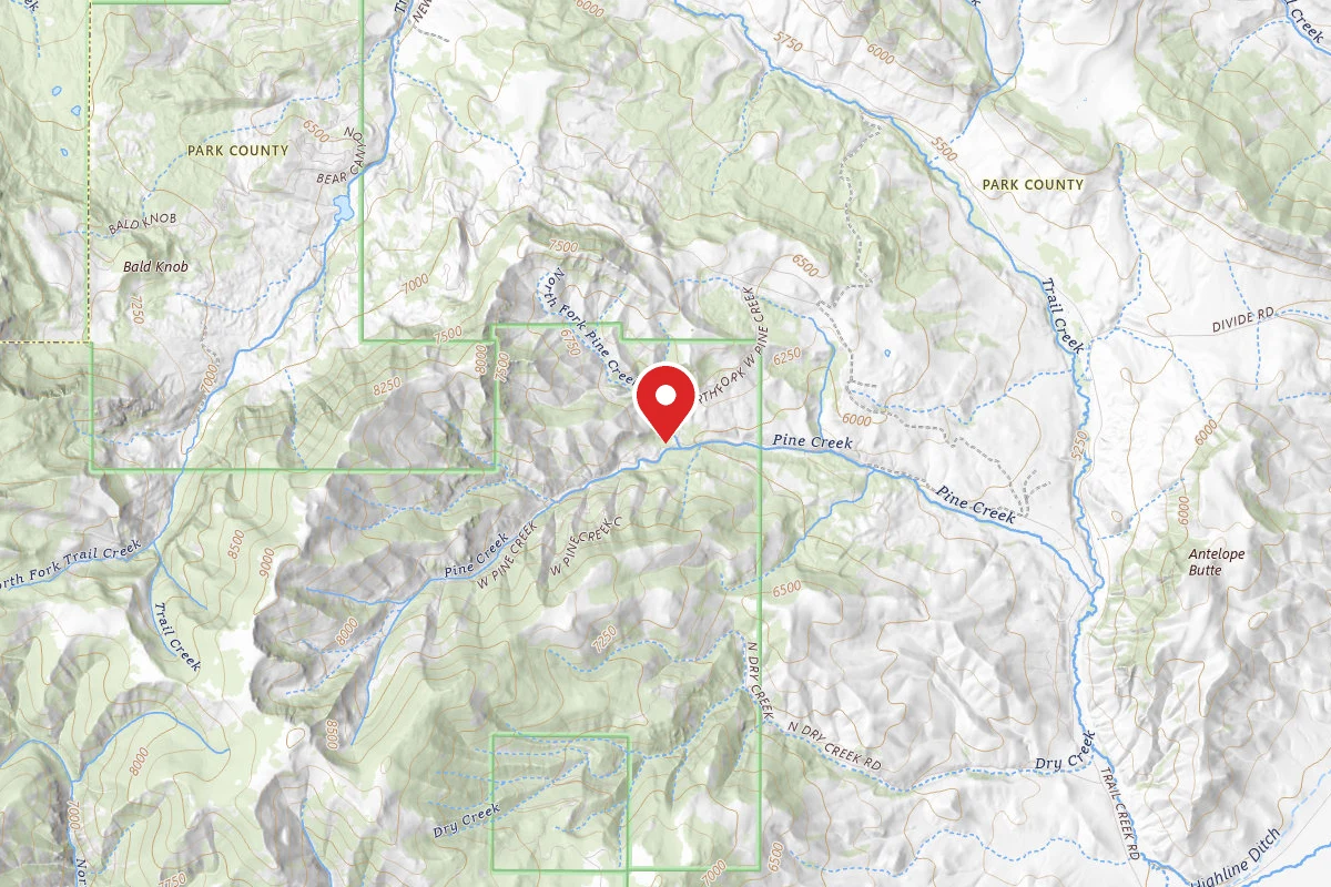 Custer Gallatin Dispersed Campsite WESTPINE-06