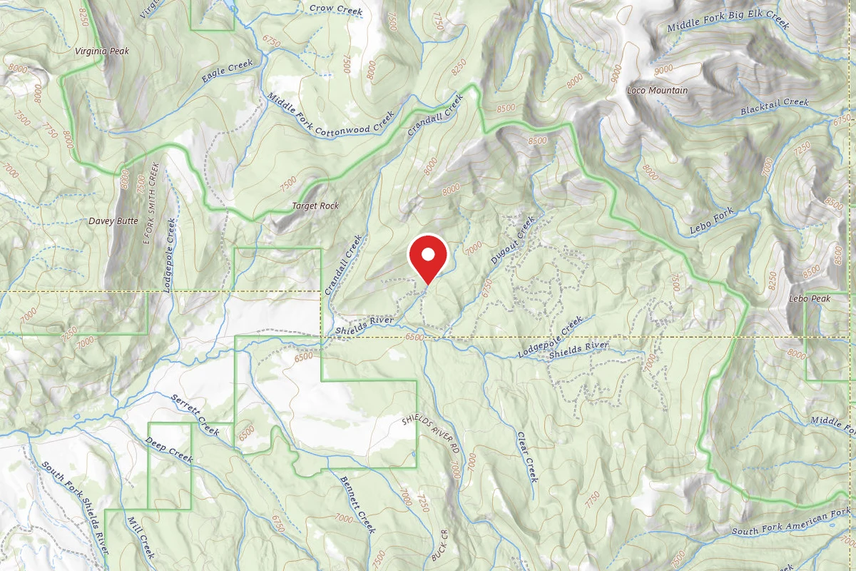 Custer Gallatin Dispersed Campsite SHIELDSLOOP43