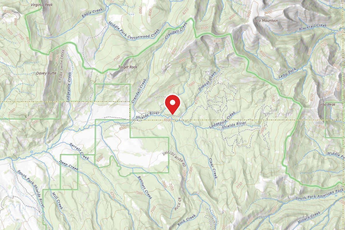 Custer Gallatin Dispersed Campsite SHIELDSLOOP44