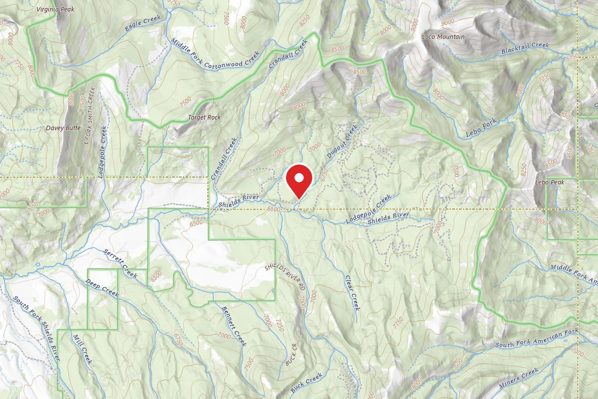 Custer Gallatin Dispersed Campsite SHIELDSLOOP45