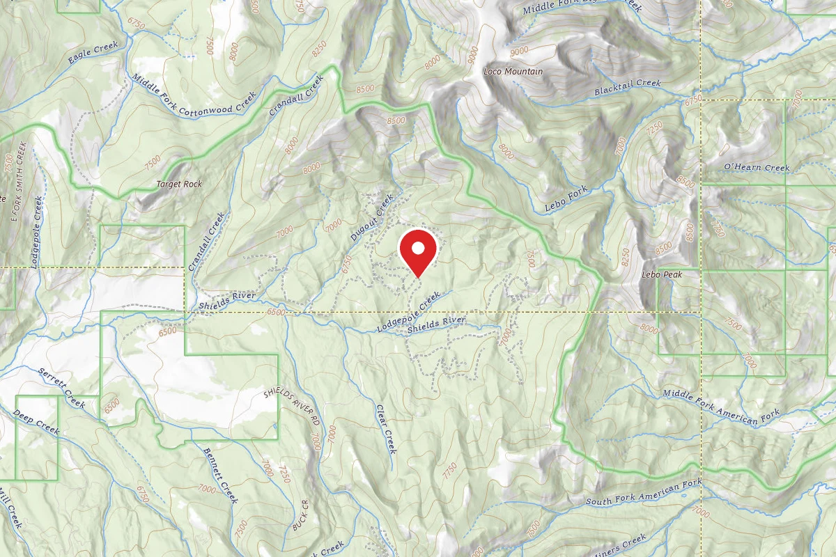 Custer Gallatin Dispersed Campsite SHIELDSLOOP13