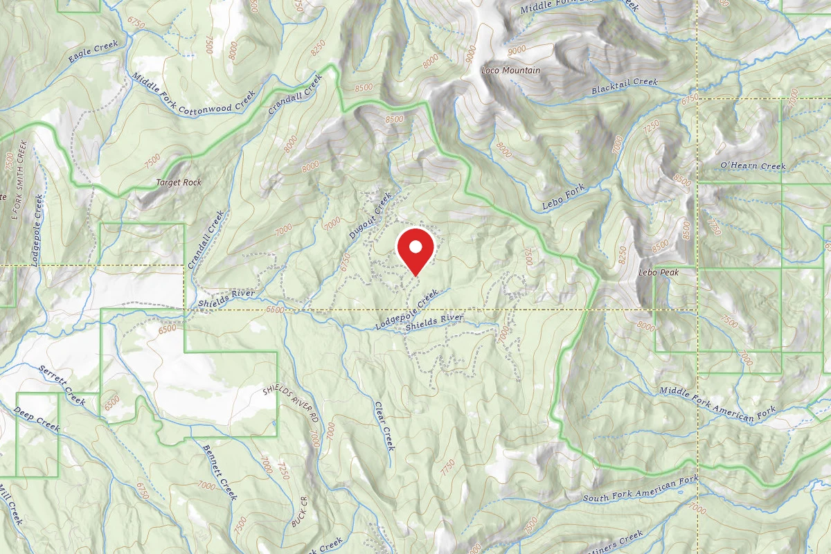 Custer Gallatin Dispersed Campsite SHIELDSLOOP15