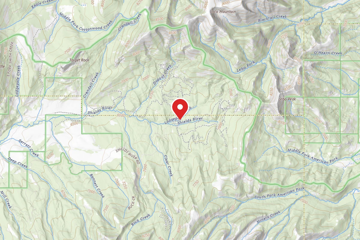 Custer Gallatin Dispersed Campsite SHIELDSLOOPL7
