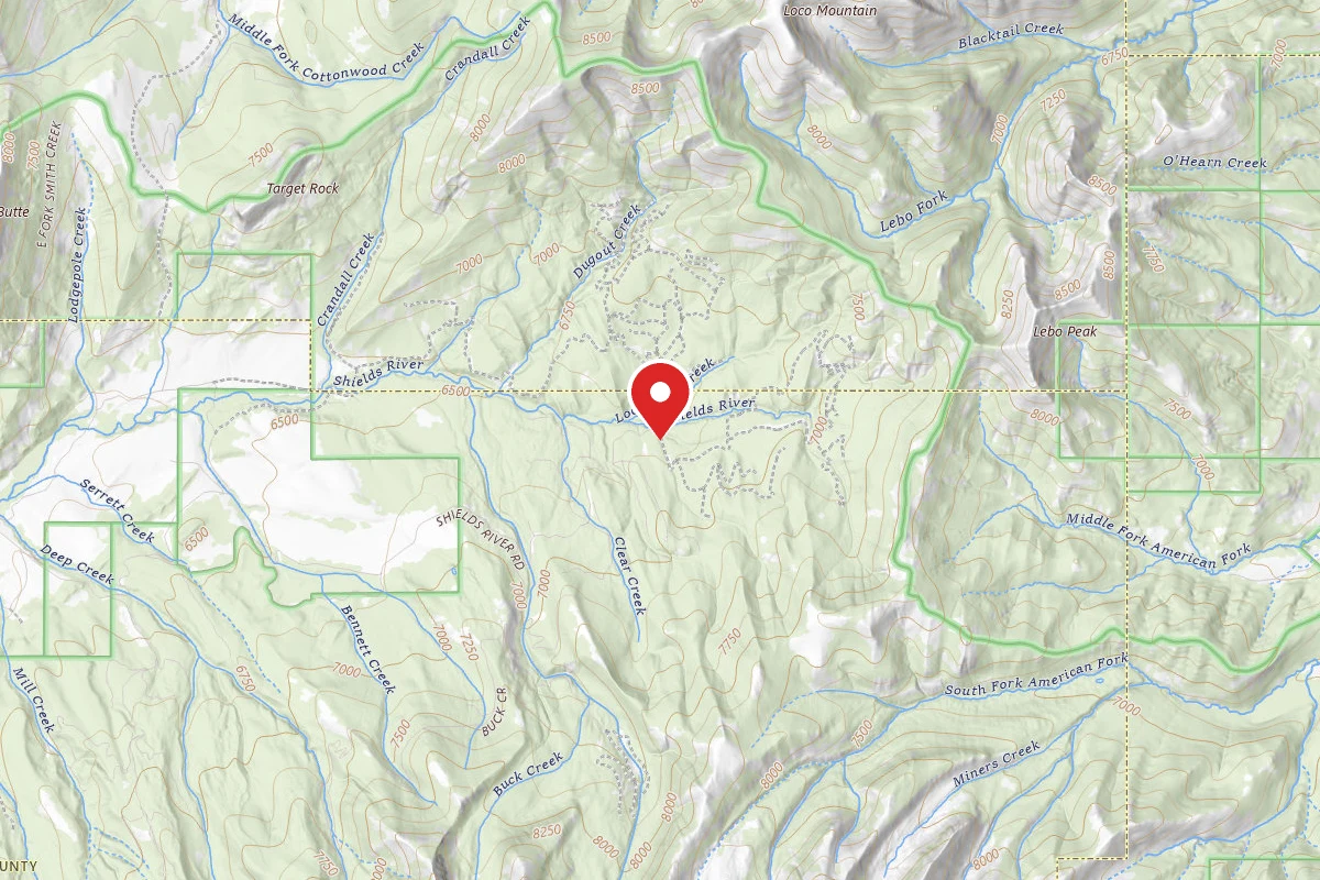 Custer Gallatin Dispersed Campsite TURKEYCR-01