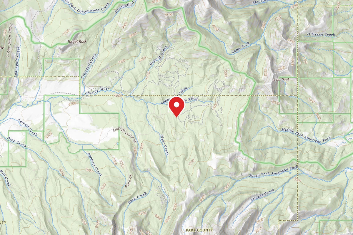 Custer Gallatin Dispersed Campsite TURKEYCR-02