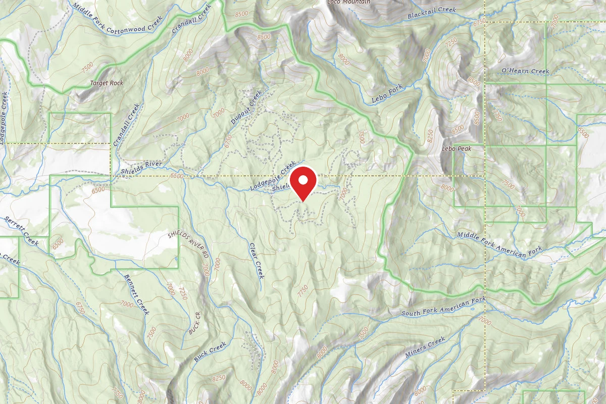 Custer Gallatin Dispersed Campsite TURKEYCR-03