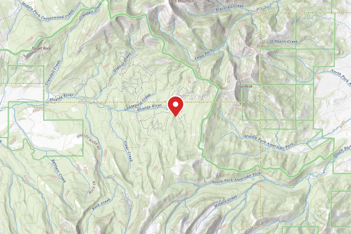 Custer Gallatin Dispersed Campsite TURKEYCR-04