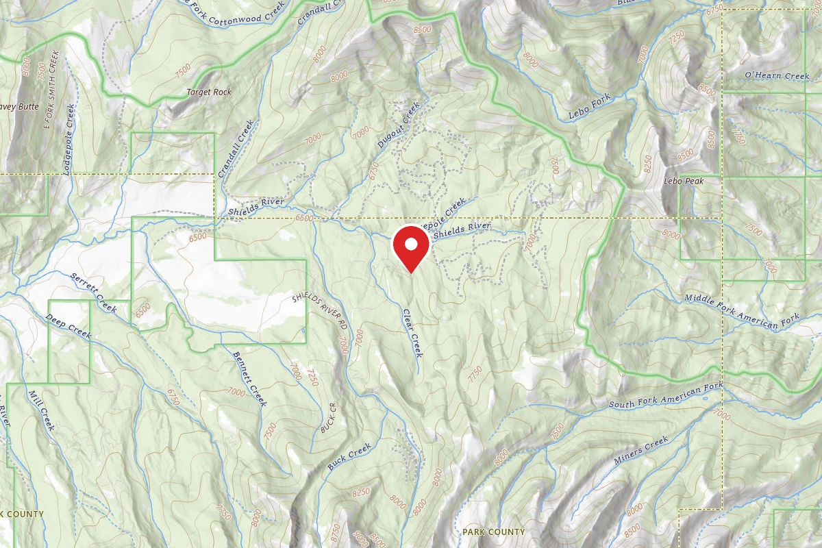 Custer Gallatin Dispersed Campsite SHIELDSLOOP21A