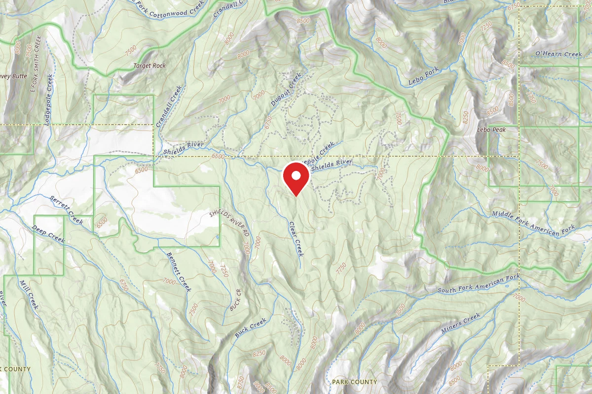 Custer Gallatin Dispersed Campsite SHIELDSLOOP21B
