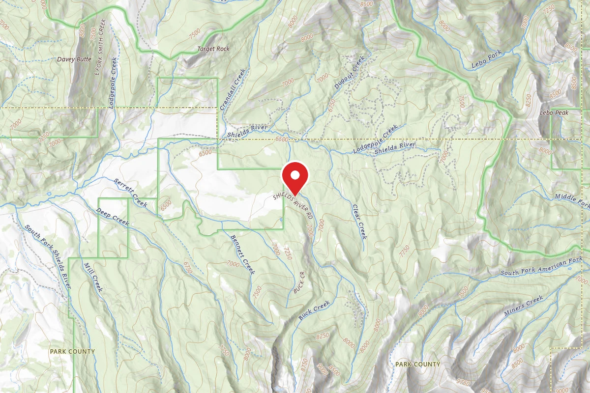 Custer Gallatin Dispersed Campsite SHIELDSLOOP33