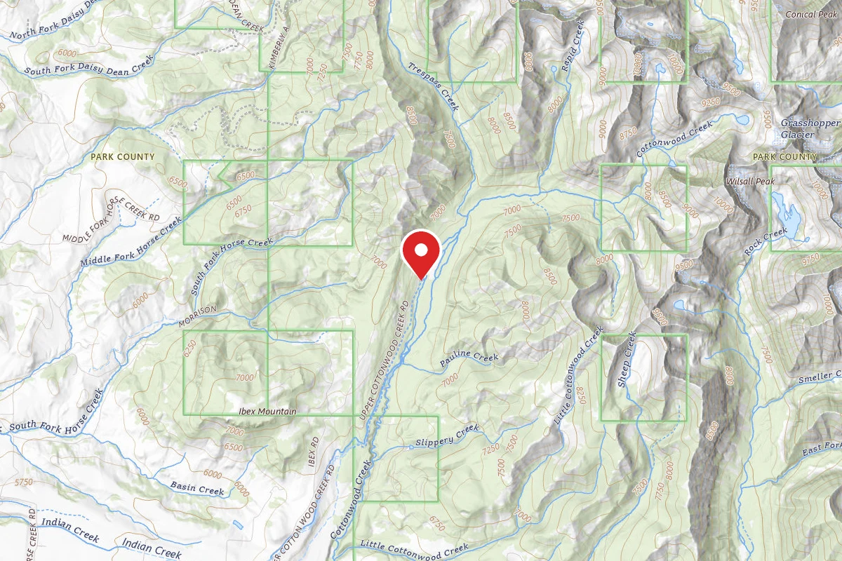 Custer Gallatin Dispersed Campsite COTTONWOOD01