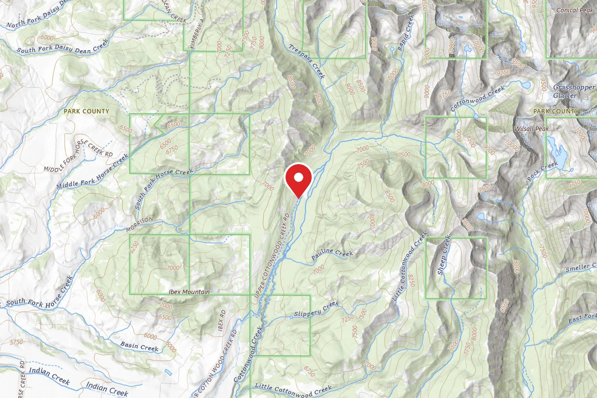 Custer Gallatin Dispersed Campsite COTTONWOOD 02