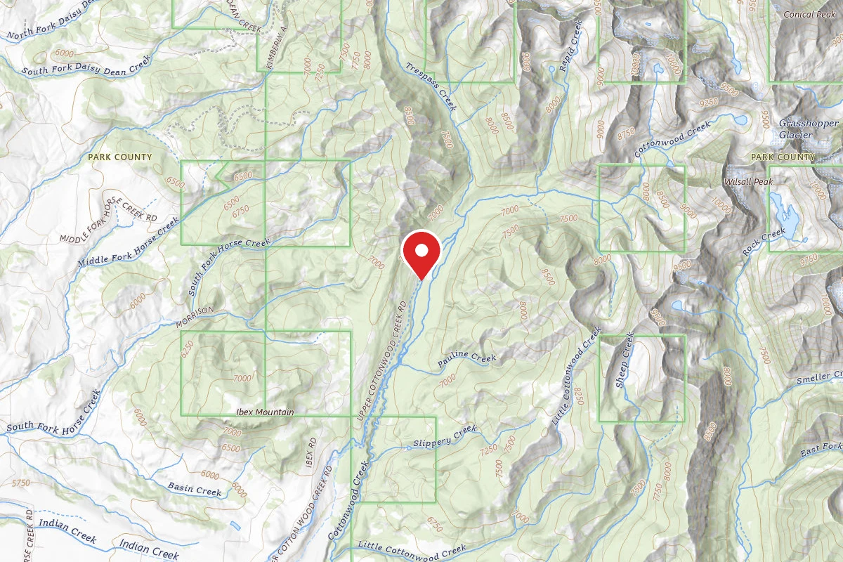 Custer Gallatin Dispersed Campsite COTTONWOOD03