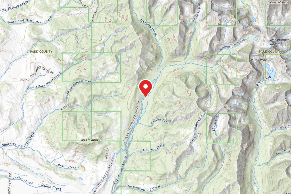 Custer Gallatin Dispersed Campsite COTTONWOOD05