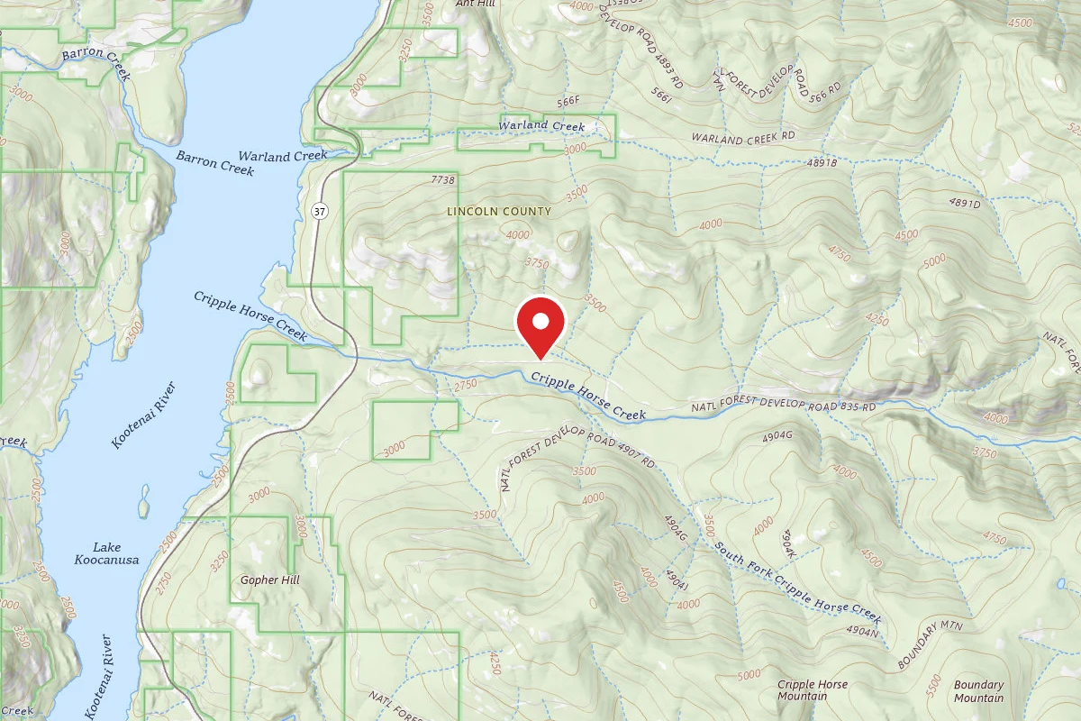 Kootenai Dispersed Campsite CRIPPLE HORSE MEADOW SITE 1