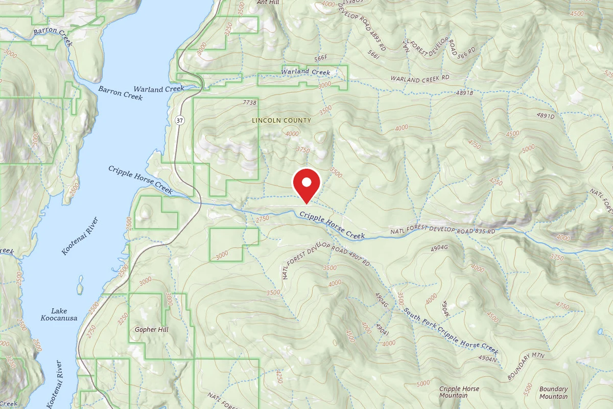 Kootenai Dispersed Campsite CRIPPLE HORSE MEADOW SITE 2