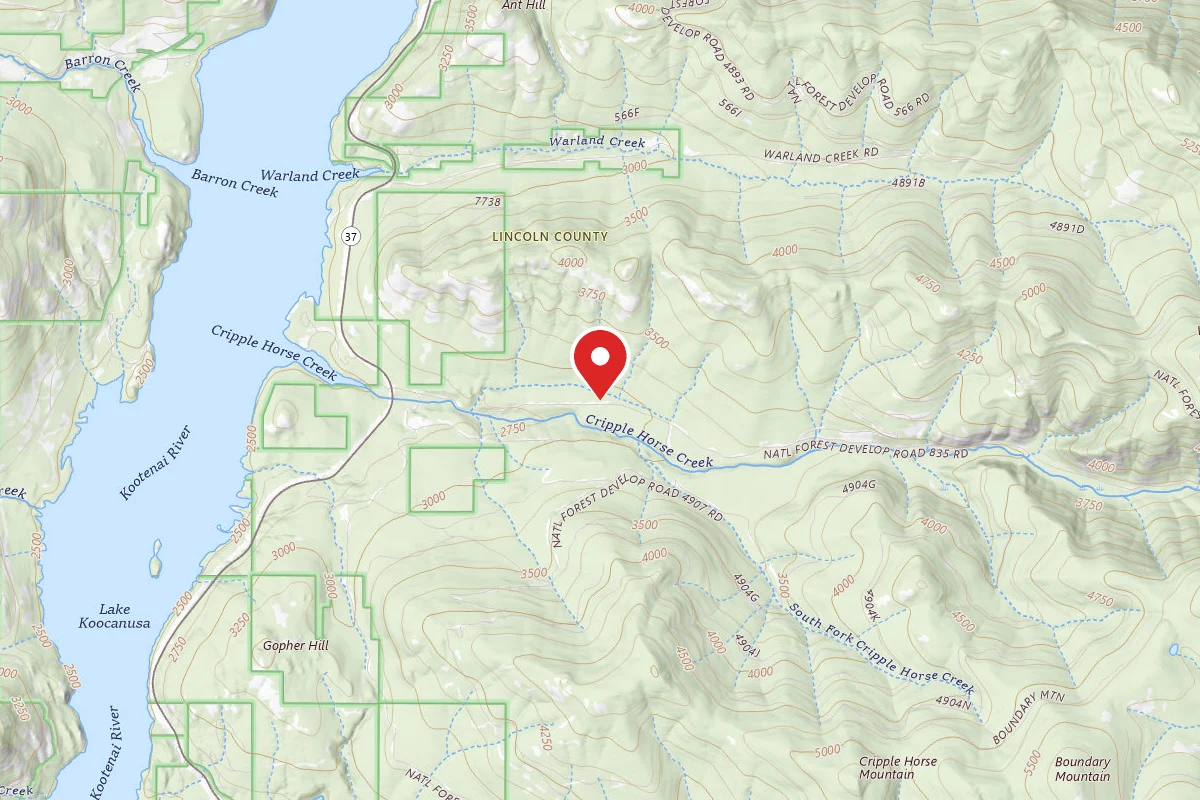 Kootenai Dispersed Campsite CRIPPLE HORSE MEADOW SITE 3