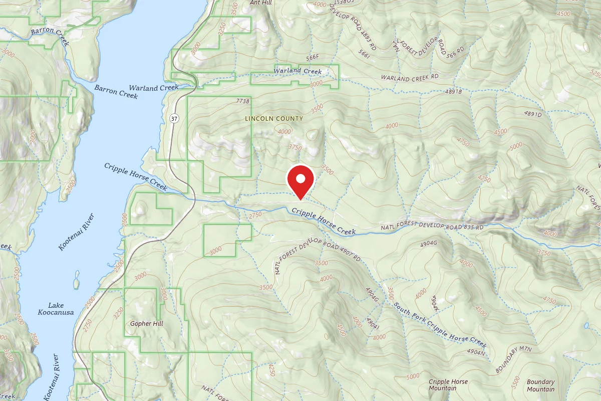 Kootenai Dispersed Campsite CRIPPLE CRIPPLE HORSE MEADOW SITE 4