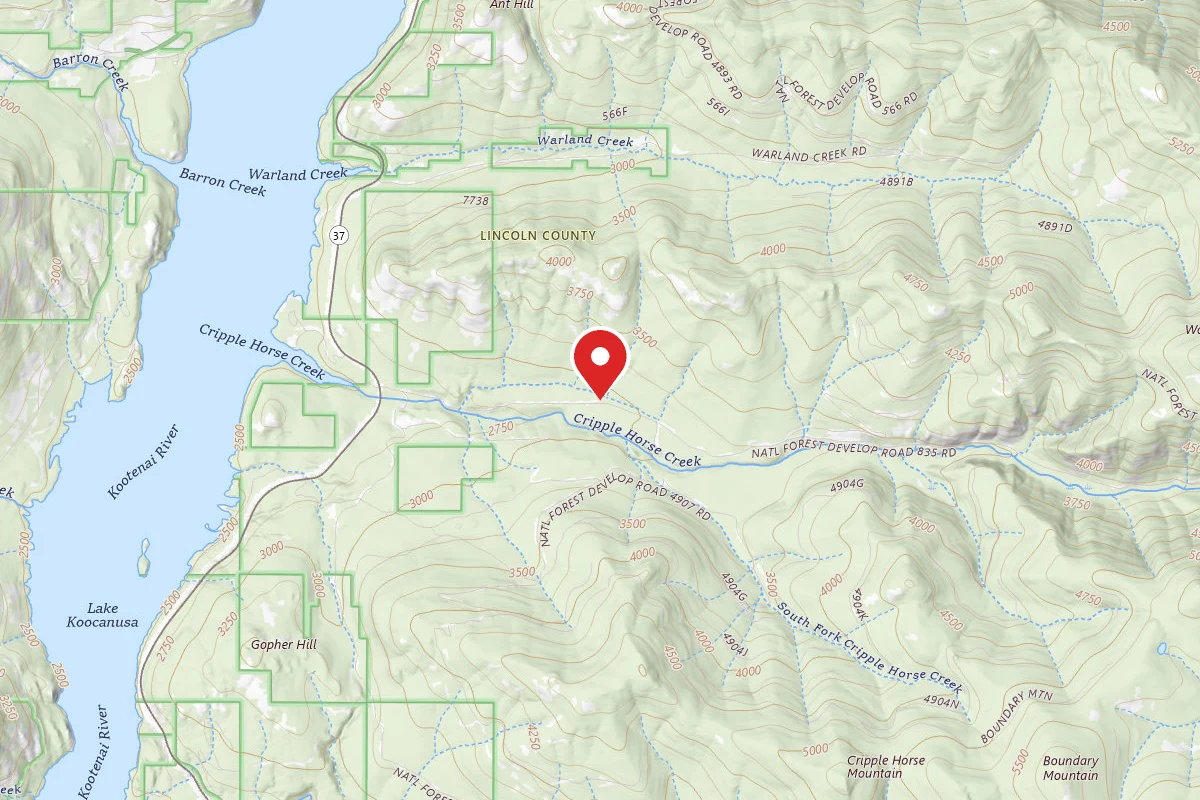 Kootenai Dispersed Campsite CRIPPLE CRIPPLE HORSE MEADOW SITE 5