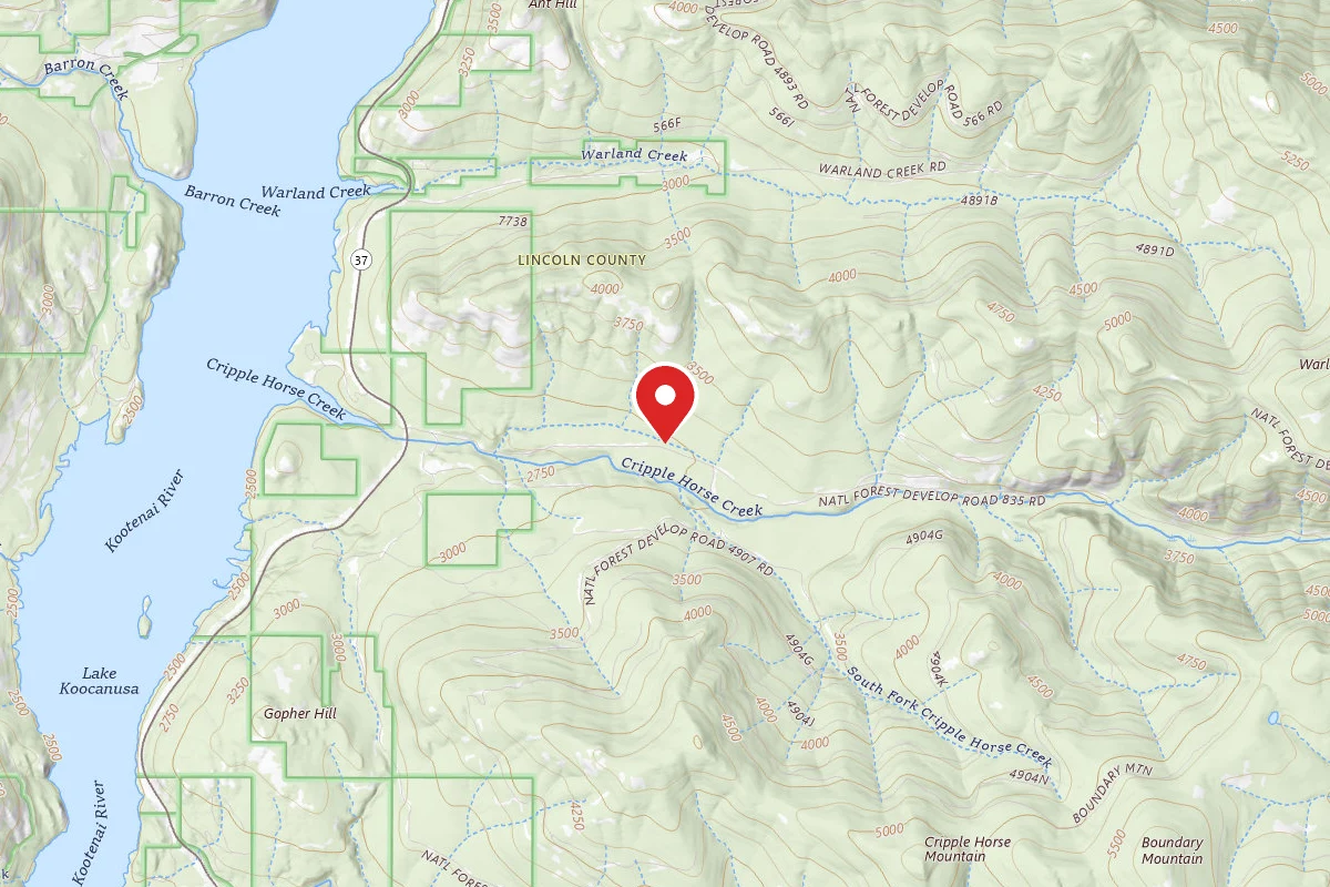 Kootenai Dispersed Campsite RD835 SITE 4