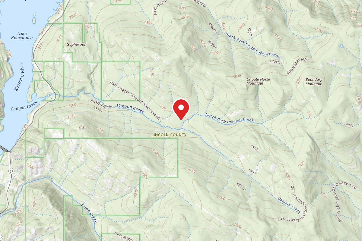 Kootenai Dispersed Campsite RD4917-1