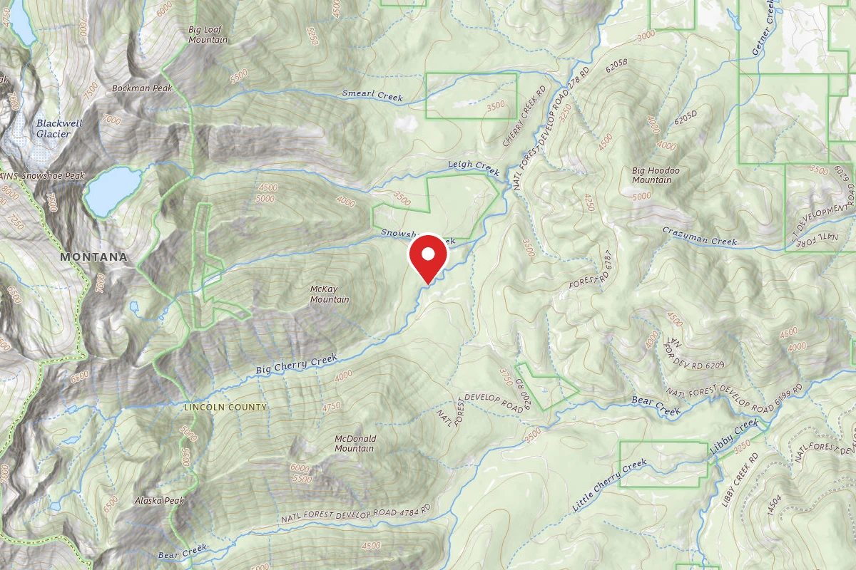 Kootenai Dispersed Campsite RD4785-1