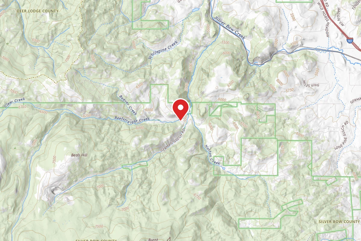 Beaverhead-Deerlodge Dispersed Campsite 83-1