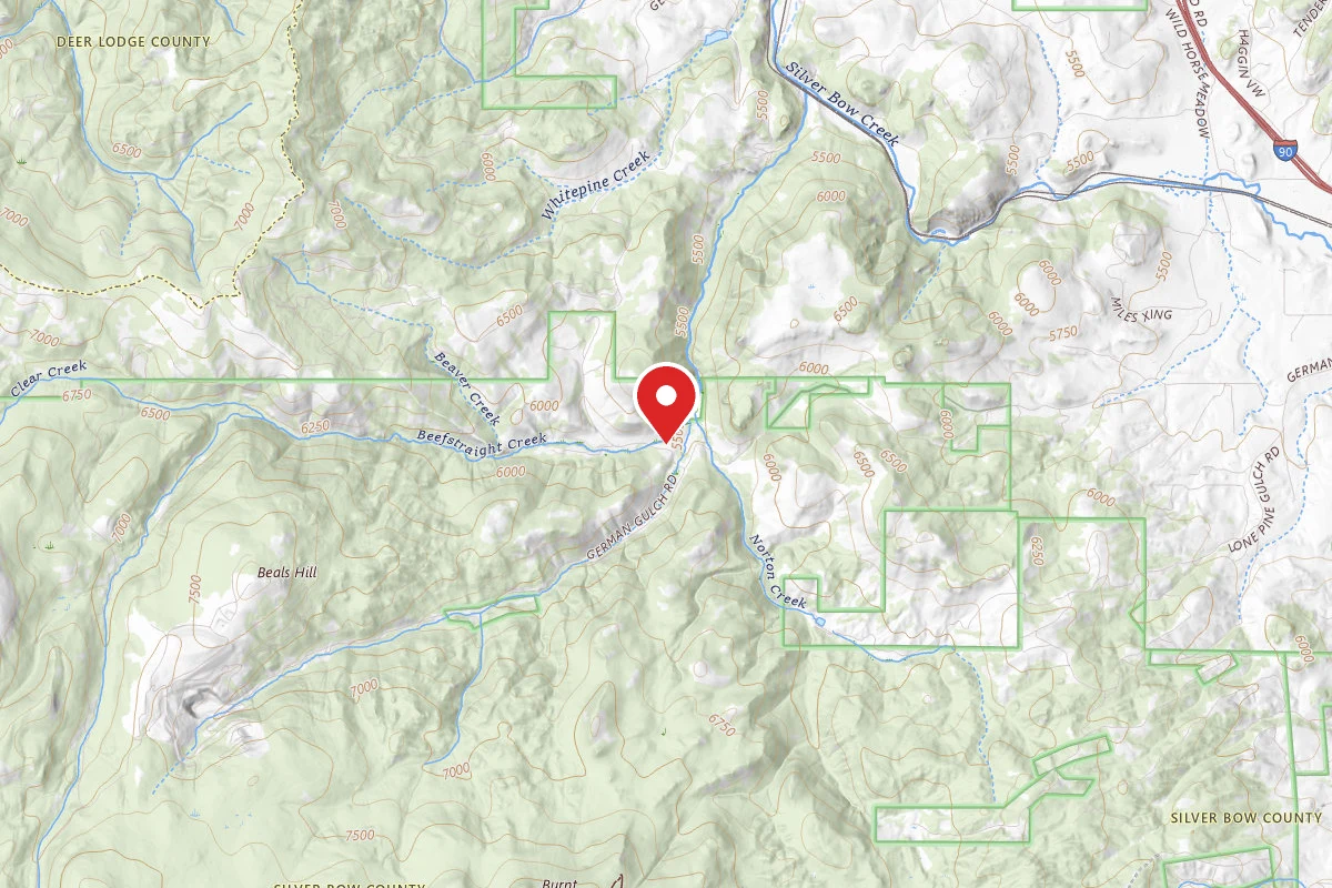 Beaverhead-Deerlodge Dispersed Campsite 83-2