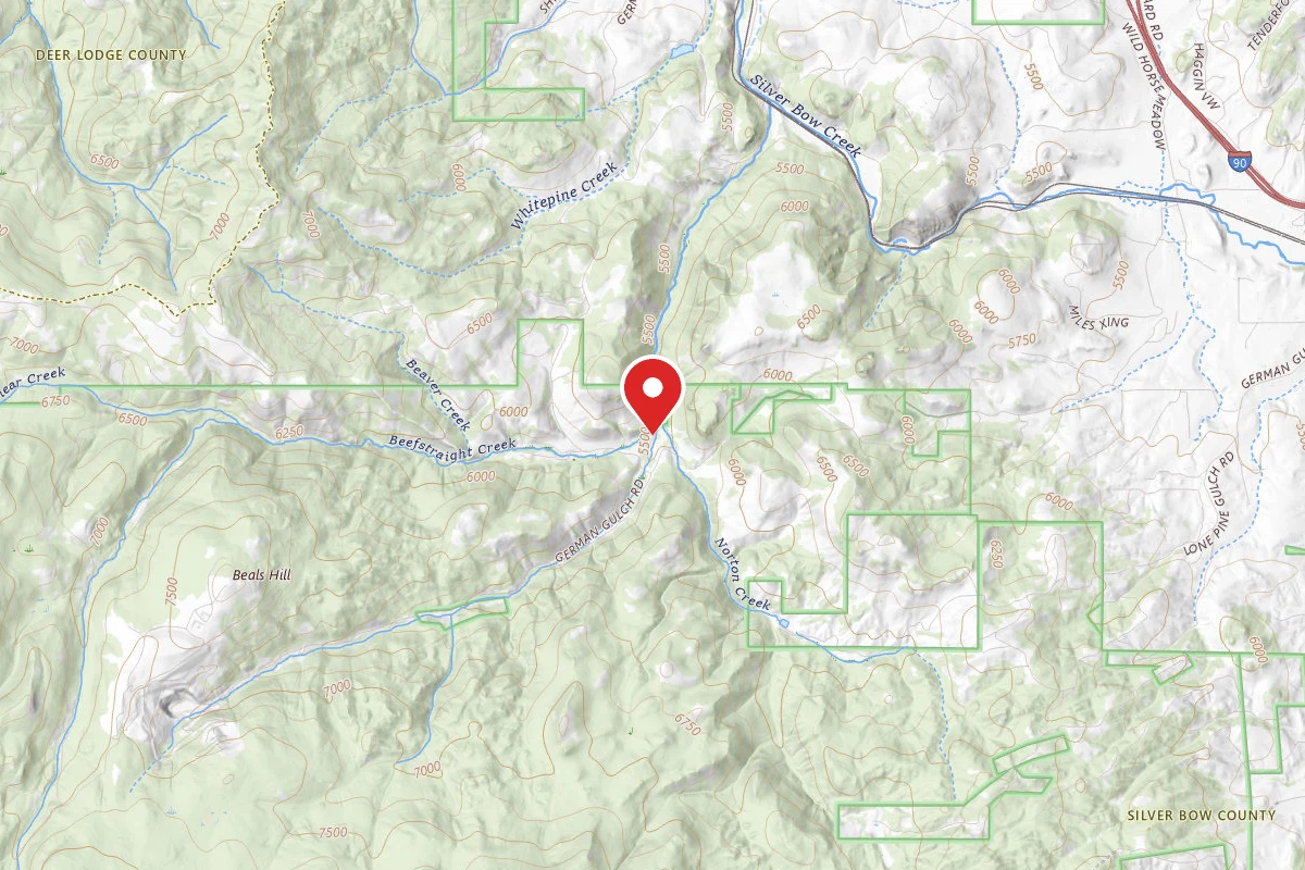 Beaverhead-Deerlodge Dispersed Campsite 83-4