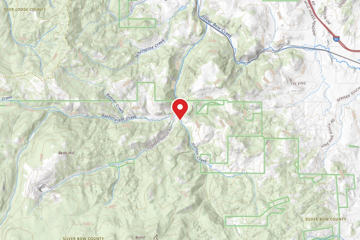 Beaverhead-Deerlodge Dispersed Campsite 8490-2