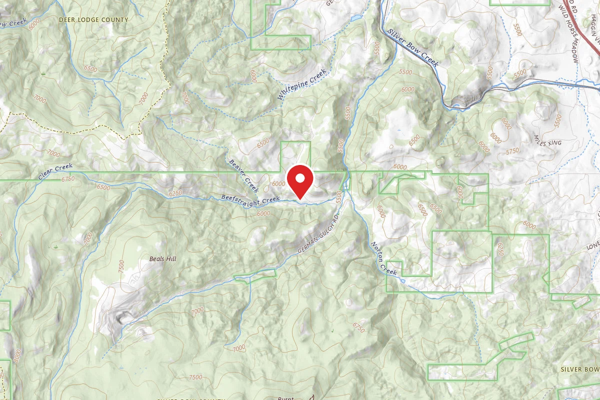 Beaverhead-Deerlodge Dispersed Campsite 83-9